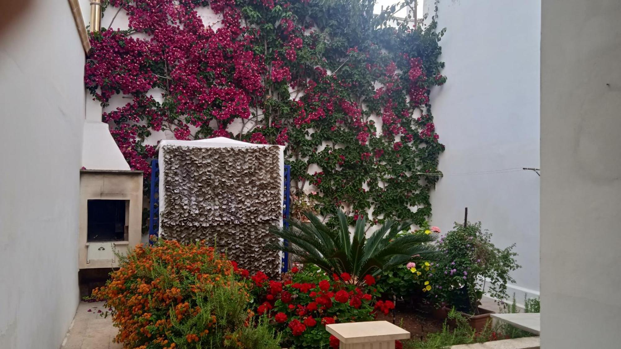 Casa A 30 M Dal Mare Villa Sant Isidoro  Buitenkant foto